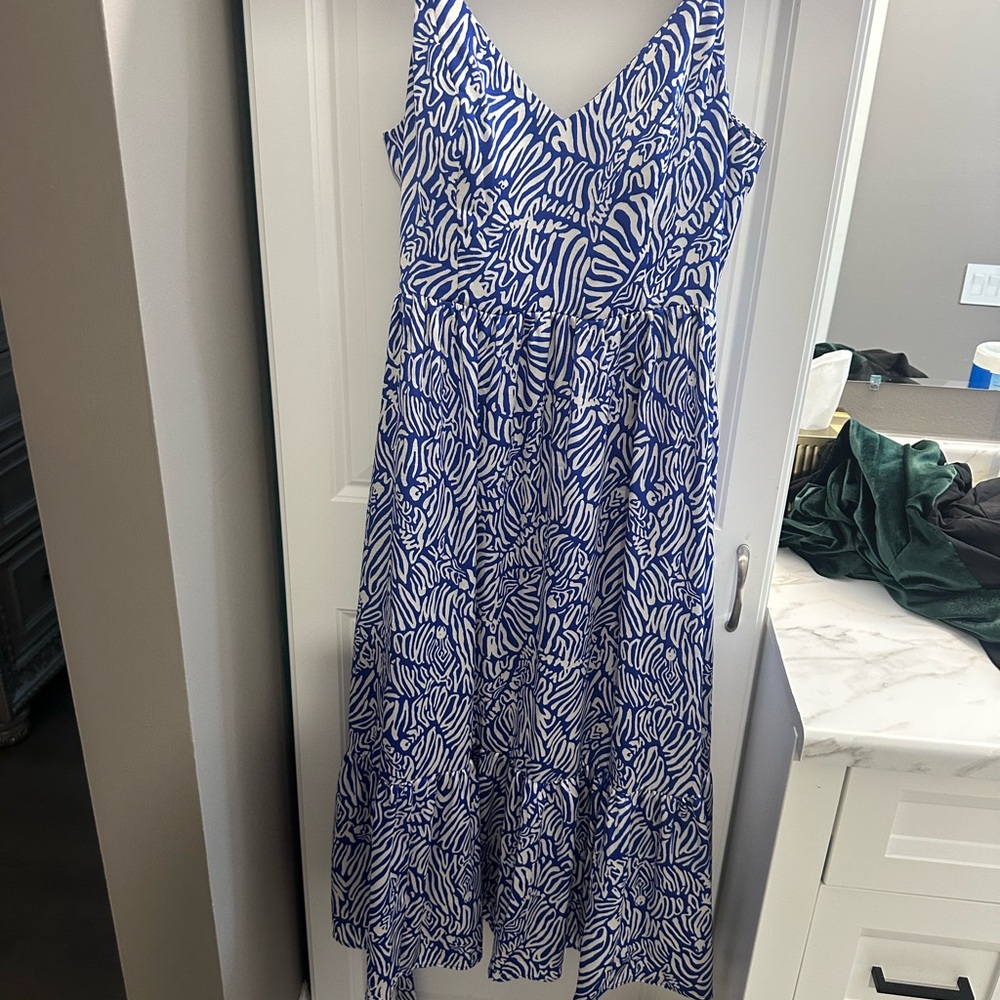 Lilly Pulitzer Blue and White Maxi Dress